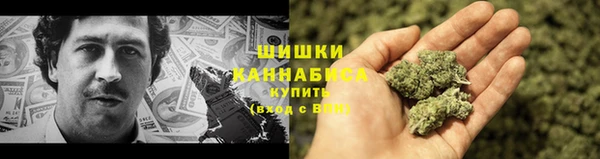 первитин Вяземский