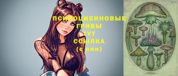первитин Вяземский
